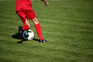 爱游戏网页版登录入口-布宜诺斯艾利斯独立球员积极备战，誓夺更好名次