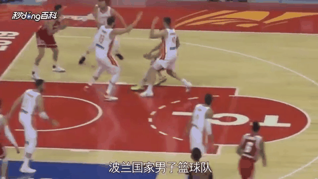 波兰队突然崭露头角,引人注目 波兰队突然崭露头角,引人注目